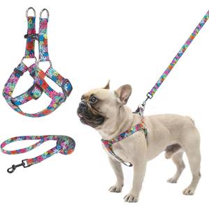 BEAUTYZOO No Pull Dog Harness and Leash Set - Adjustable Step-in Puppy Harness for Small Medium Large Dogs, Escape Proof Soft Nylon Vest with Double D Ring for Walking Running Training, L
