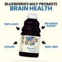 2 x R.W. Knudsen Just Blueberry Juice, 32 fl oz (Pack of 1)