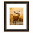 AUEAR,16x20 Picture Frame for 11x14 Photo With Mat or 16x20 Prints Without Mat,Vintage Style,Wall Mounting (Black and Ornate Gold), Pack of 2