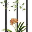 YIZAIJIA Plant Stand Indoor Corner Tall 2 Tier Metal Modern Flower Storage Plant Shelf Holder for Living Room Balcony Garden, Black (2 Tier-Black Round)
