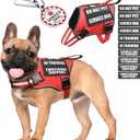 Service Dog Vest Harness+ID Tag+10 Patches,Metal Serivce Dog Tag&Reflective Emotional Support Dog Vest with Handle for Small Dogs,Easy Put On/Off for Training/Walking/Everyday Red S