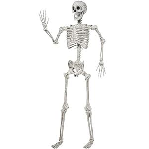 JOYIN 5.6 FT Halloween Posable Life Size Skeleton Full Body Realistic Bones with Movable Joints for Halloween Indoor and Outdoor Decoration (Count of 2, White)