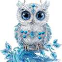 Diymood DIY Hanging Diamond Art Kits for Adults Owl, Diamond Painting Kit Pendant Special Shaped Double Sided Acrylic Sun Catcher Board Wreath Pendants Canvas Window Wall Decor 8 x 8 Inch (Colorful-1)