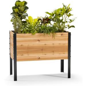 EARTH ELEVATED 100% Canadian Cedar Wood Elevated Garden Bed for Gardening - Planter Pot to Grow Herbs Flowers, and Vegetables at Home Indoor and Outdoor Patio Balcony Deck - 18” x 36” x 30”, Medium