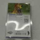 PetSafe Gentle Leader Headcollar No-Pull Dog Collar - Helps Improve Walks - Durable Nylon Construction - Padded Nose Loop - Adjustable Fit - Comfort Walking Halter - Medium, Charcoal