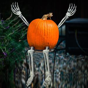 WinnerWhy Set of 4 Pumpkin Arms and Legs, Outdoor Halloween Pumpkin Decor Plastic Bones Skeleton Decoration with Movable Posable Joints for Outdoor Halloween Party Decor