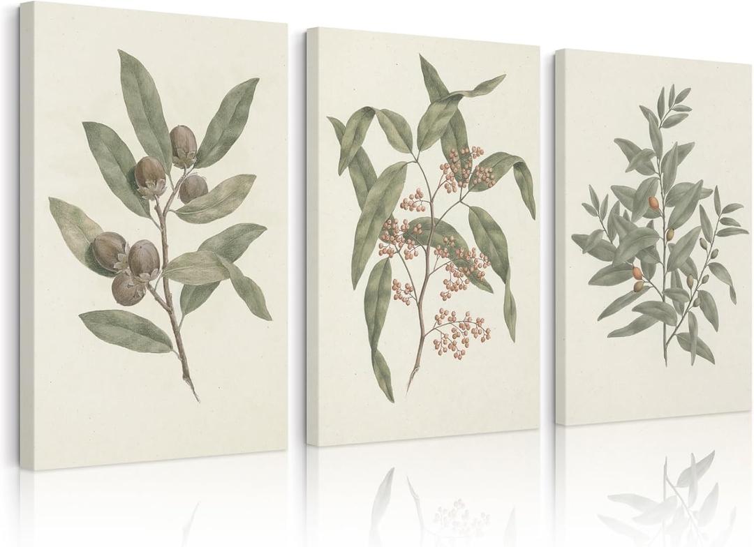 Green Botanical Wall Art Sage Plant Canvas Pictures Eucalyptus Wall Decor Vintage Leaves Prints Minimalist Leaf Poster Natural Artwork Gallery Painting for Farmhouse Bedroom 16x24x3 Inch Ready to Hang Green Botanical Wall Art Sage Plant Canvas Pictures Eucalyptus Wall Decor Vintage Leaves Prints Minimalist Leaf Poster Natural Artwork Gallery Painting for Farmhouse Bedroom 16x24x3 Inch Ready to Hang