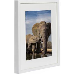 BD ART 12x16 White Picture Frame Made of Wood and High Definition Glass Display Pictures 8x12 with Mat or 12x16 Without Mat - Vertical and Horizontal Wall Mounting BD ART 12x16 White Picture Frame Made of Wood and High Definition Glass Display Pictures 8x12 with Mat or 12x16 Without Mat - Vertical and Horizontal Wall Mounting