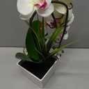 HOMESEASONS Orchid Lamp-LED Lighted Orchid Arrangements,Pre Lit Artificial Orchid,Light Up Flower Lights, Faux Orchid Phalaenopsis Arrangement (White)