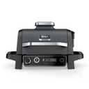 Ninja Woodfire Outdoor Grill & Smoker, 7-in-1 Master Grill, BBQ Smoker and Air Fryer with Woodfire Technology - OG701