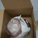 Glass Votive Candle Holders,Glass Seasoning Dishes,Cherry-Blossom Tea Bag Holders,Pink Flower Snack Dip Bowls,Set of 6 Tealight Pillar Trays for Party Housewarming Christmas Valentine Wedding Decor