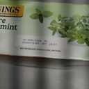 Twinings Pure Peppermint Herbal Tea Individually Wrapped Bags, 100 Count (Pack of 1), Fresh Minty Flavour, Naturally Caffeine-Free, Enjoy Hot or Iced, 100 Teabags