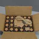 Jarsoph Mini Glass Bottles 24pc - 50ml Small Glass Jars with Cork Stoppers - Decorative Bottles for Spell Jars, Potion Bottles, Message in a Bottle, DIY Crafts, Party Favors, Weddings