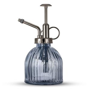 Vintage Inspired Glass Mister for Air Plants Succulents Seedlings Herbs Terrariums - Mist Watering Sprayer for Indoor Plants