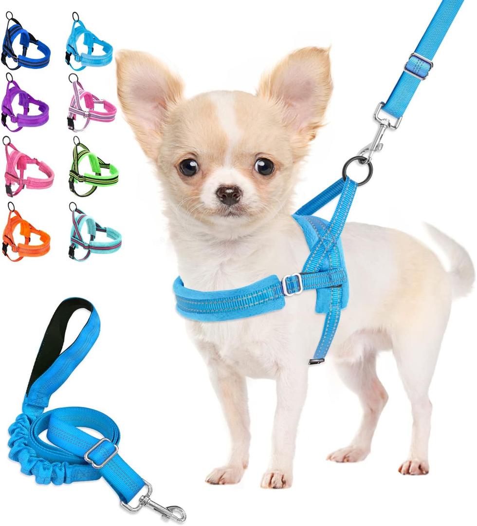 Lukovee Dog Harness and Leash Set, Soft Padded Small Dog Harness, Neck & Chest Adjustable Reflective Vest Puppy Harness with 4ft Lightweight Anti-Twist Dog Leash for Small Dogs (Light Blue, X-Small)