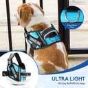 Service Dog Harness (Medium, Light Blue) with Reflective Strips, Leash, and 10 Patches, for Dog Training and Walking