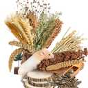 Natural Ear of Grain Flower&Herb Bedding Mate Habitat Decor, Adding Fun Hamster Accessories for Hamsters Gerbils Lemming (Harvest Wind)