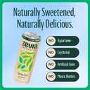 Zevia Zero Sugar Tea, Green Tea, 12 oz Cans (12-Pack)  Naturally Sweetened, Zero Calorie Sugar Free - Non-GMO Project Verified, Gluten-Free, Vegan