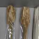 300PCS Natural Dried Pampas Grass Boho Home Decor Bouquet Phragmites Dried Flowers Bouquet for Wedding Floral Arrangements Home Decorations (300PCS)