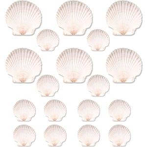 20PCS Natural Scallop Shells for Crafts & Baking - 6 Large (4-5in) & 14 Medium (2-3in) Seashells - DIY Painting, Beach Wedding Decor, Resin Art, Coastal Home Decoration, Party Centerpieces