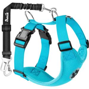 SlowTon Dog Seat Belt Harness for Car, Dog Car Harness Adjustable Mesh Breathable & Dog Seatbelt Safety Tether with Elastic Bungee for Small Medium Large Pets(Light Blue, Double Clip, M)