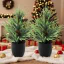Jexine 2 Pack 2ft Artificial Christmas Norfolk Pine Tree with Pot Realistic Faux Christmas Norfolk Branch with Pine Cones Tabletop Xmas Tree Greenery for Front Porch Mantel Entryway Xmas Home Decor