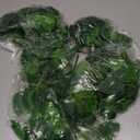 Artificial Plants Artificial Hanging Boston Fern False Ivy Fake Green Fern Plastic Rattan Realistic Appearance No Maintenance Required Indoor/Outdoor Use Durable UV Resistant (2 pcs)