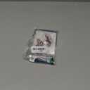 Baby Fanatic NCAA Baby Pacifiers (One Size, Florida State Seminoles)