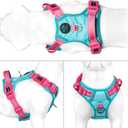 PHOEPET No Pull Dog Harness, Unique Colors Reflective Adjustable Dog Vest, with Soft Training Handle Metal Clips for Small Medium Large Dogs (Mint Green Base & Pink Straps,XL)