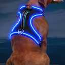 Neck Light Up Dog Harness, No Pull LED Dog Harness with Handle, Rechargeable Lighted Safety Vest for Small Medium Large Dogs, Adjustable Soft Dog Lights for Night Walking XL