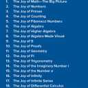 The Joy of Mathematics