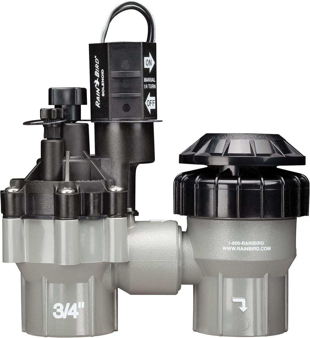 Rain Bird DASASVF075 Professional Grade Anti-Siphon Valve with Flow Control, 3/4" Threaded Female x Female