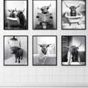 MINI ZOZI Black And White Highland Cow Bathroom Decor 8x10 6PCS Funny Pictures Wall Art Canvas Prints Set Rustic Farmhouse Modern Style Bath Restroom Animal Print Canvas Country Vintage Western Home
