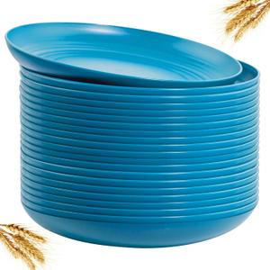 LIYH 20 Pcs Blue Wheat Straw Plastic Plates - 9 Inch Unbreakable Dinner Plates Reusable, Dishwasher & Microwave Safe, Camping Outdoor Plates