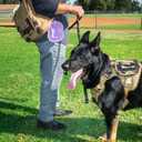 Silicone Collapsible Dog Bowl Purple Bone