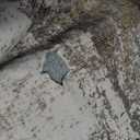 RELEANY Washable Area Rugs 4'x6' Non-Slip Modern Abstract Soft for Living Room Entryway Bedroom Nursery, Print Pattern, Neutral Brown Gray - Worn and Torn, See Images