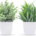 Der Rose 2 Pack Small Fake Plants Mini Artificial Potted Plants for Table Desk Home Laundry Room Bathroom Office Decor