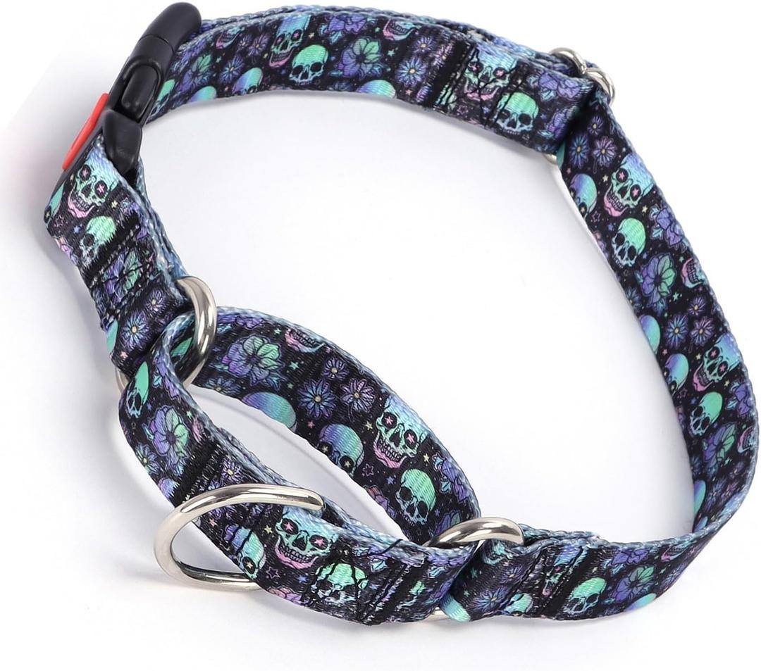 Martingale Collar for Dogs with Buckle, No Slip Escape Proof Limited Choke Pinch Pet Collars Quick Release Snap with Lock, Blue Purple Skull, L, For Neck 19-24.8" x W1", 4T