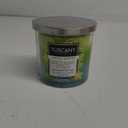 TUSCANY CANDLE SUCCULENT CITRUS 14 OZ