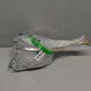 SENSARTE White Ceramic Nonstick Saucepan with Lid 1.5 Quarts, Small Cooking Pot with Stay Cool Handle, Induction Compatible Saucepot, White Granite Coating, Free of Intentionally Added PTFE/PFOA/PFAS