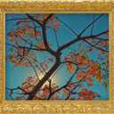 YIVIVEN Canvas Frame for 8x10 Oil Painting Art Prints, Vintage Gold Wood Frame for Canvas, Antique Ornate Plein Air Frames (8"x10",Gold)