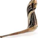 Holy Voice Kosher Ram Shofar Horn from Israel 18"-20" Traditional Half Polished, Holy Land Ancient Jewish Musical Instrument, Smooth Mouthpiece for Easy Blowing, Clear Sound Shofar