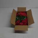 Hananona 6 Pcs Artificial Geranium Flowers for Outdoors Geranium Silk Red Flower Outdoor UV Resistant Garden Plants Faux Flowers for Christmas Home Kitchen Table Centerpieces Decor (Red)