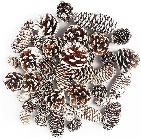 JOHOUSE 40PCS Snow Pinecones for Decorating, Natural Pine Cones for Crafts Vase Filler Christmas Tree Winter Holiday Hanging Ornaments