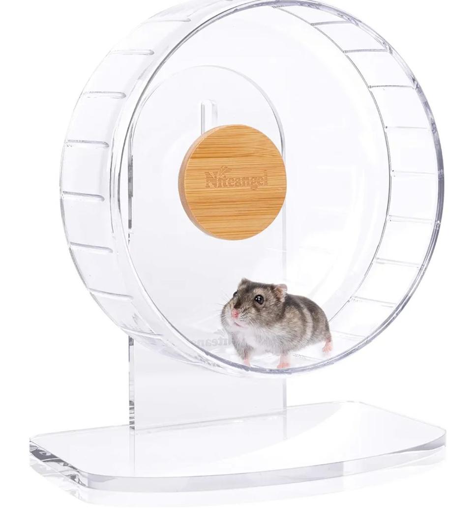 Niteangel Super-Silent Hamster Exercise Wheels: - Quiet Spinner Hamster Running Wheels with Adjustable Stand for Hamsters Gerbils Mice Or Other Small Animals (S, Transparent)