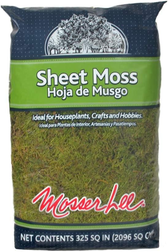 Mosser Lee ML0460 Natural Green Sheet Moss  325 sq. in.  Organic Decorative Moss for Terrariums, Planters, Crafts & Moisture Retention
