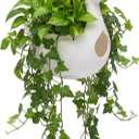 Goose Hanging Planter, Self-Watering Pot for Porch Decor
