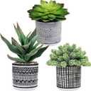 Winlyn Set of 2 Assorted Small Potted Succulents Arrangement Artificial Succulent Plants in Black and White Geometric Pots for Table Centerpiece Windowsill Shelf Indoor Outdoor Garden Greenery Decor
