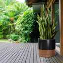 D'vine Dev 14 Inch Ceramic Planter Pot with Drainage Hole and Saucer, Indoor Cylinder Round Planter Pot, Black/Speckled Tan, 94-O-G-7, XX-Large
