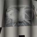 Bird Feeder with Camera, HD Birdwatching Camera with 1 Year Trial AI Identify, 4 DIY Add-ons, Smart Birds Cam with Solar Panel for Outdoor, Auto Record Videos, Gift for Bird Lover (Mint Green)